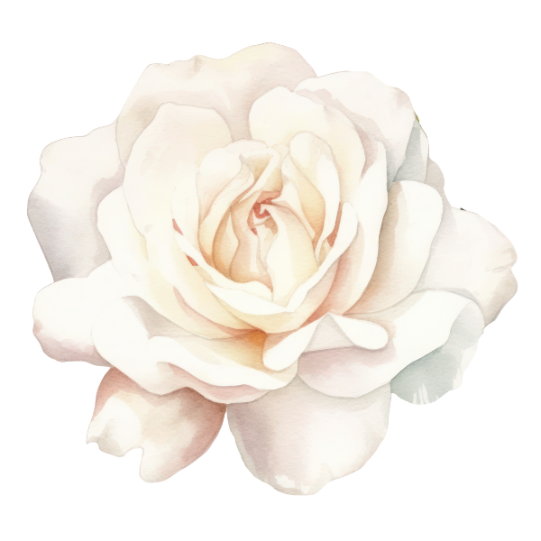 Rose (2)